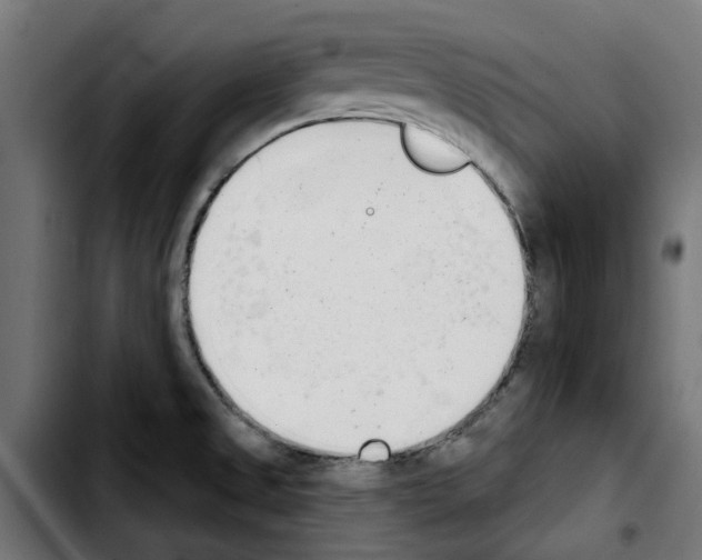 X0000103911525200810311420