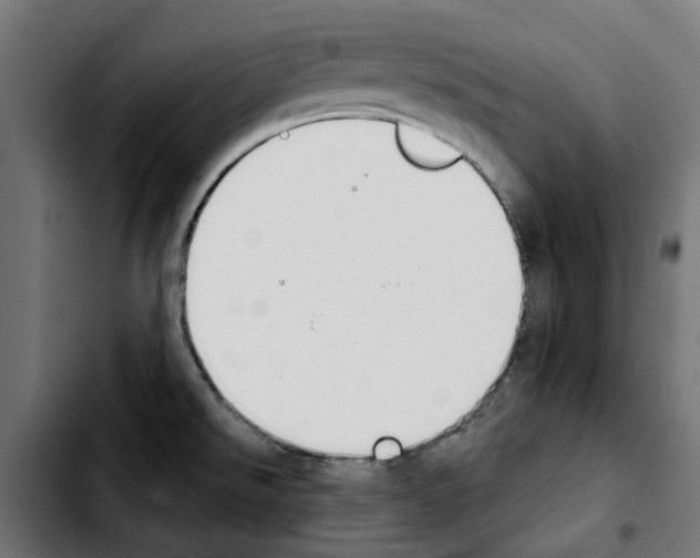 X0000103911526200810311420