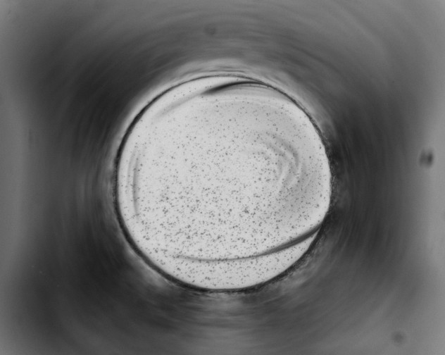 X0000103911527200810311420