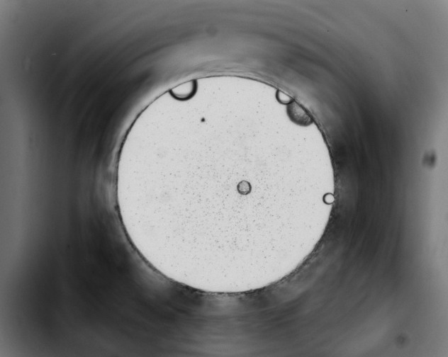 X0000103911528200810311420
