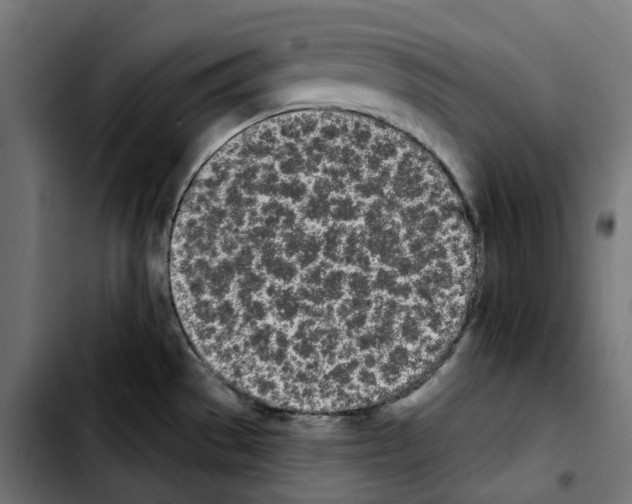 X0000103911529200810311420