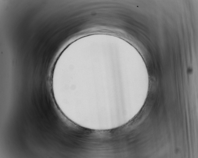 X0000103911531200810311421