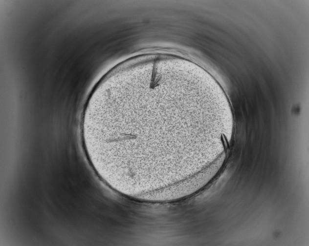 X0000103911533200810311421