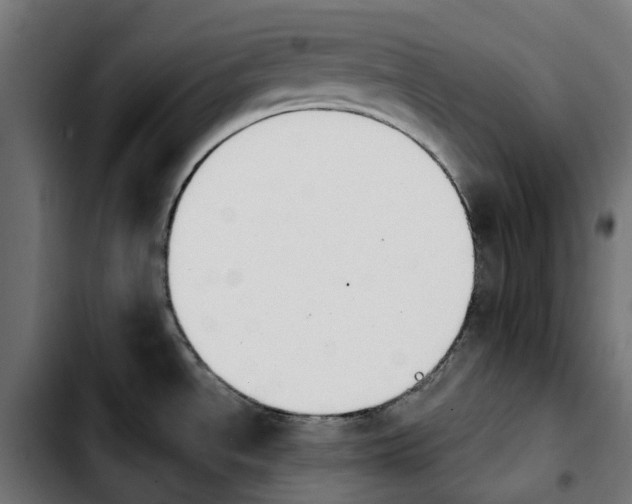 X0000103911534200810311421