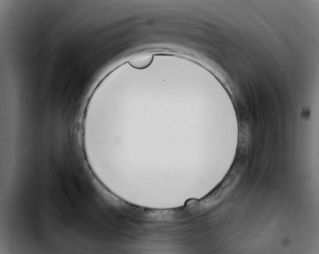 X0000103911535200810311421