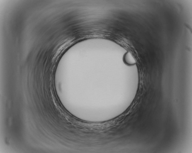 X0000103930001200809191135