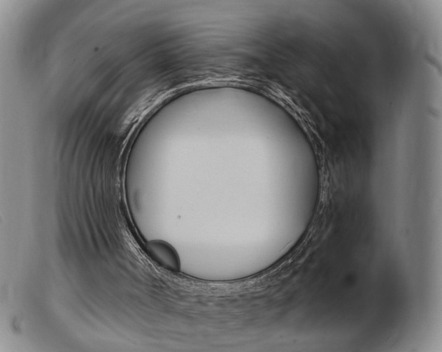 X0000103930002200809191135