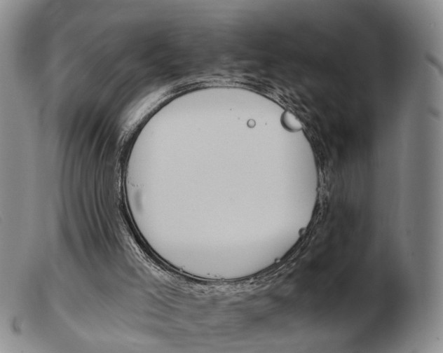 X0000103930005200809191135