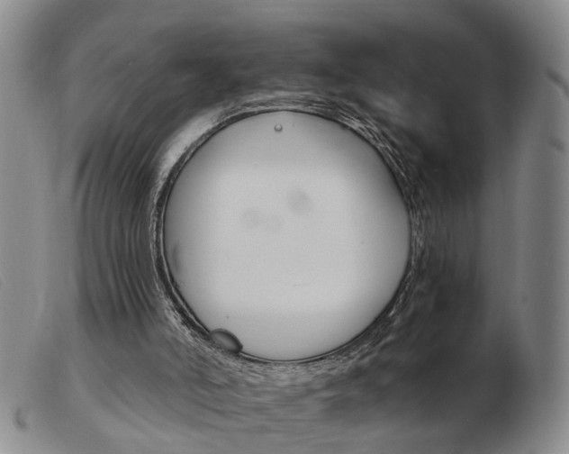 X0000103930006200809191135