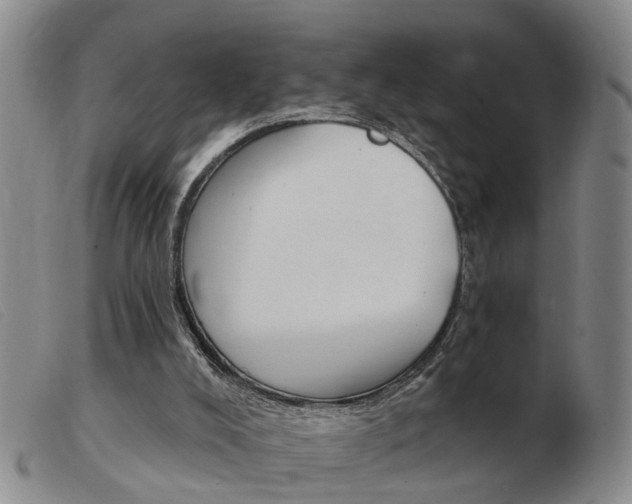X0000103930008200809191135