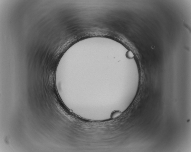 X0000103930009200809191135