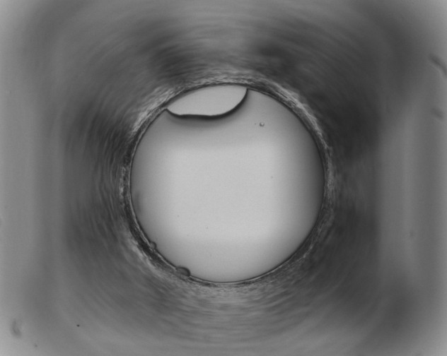 X0000103930010200809191135