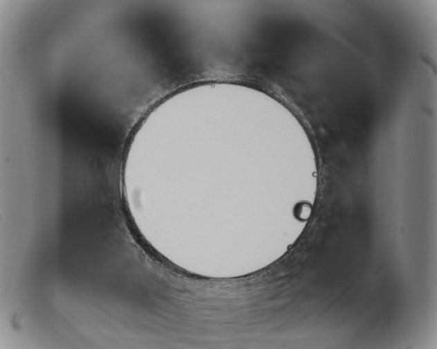 X0000103930011200809191135