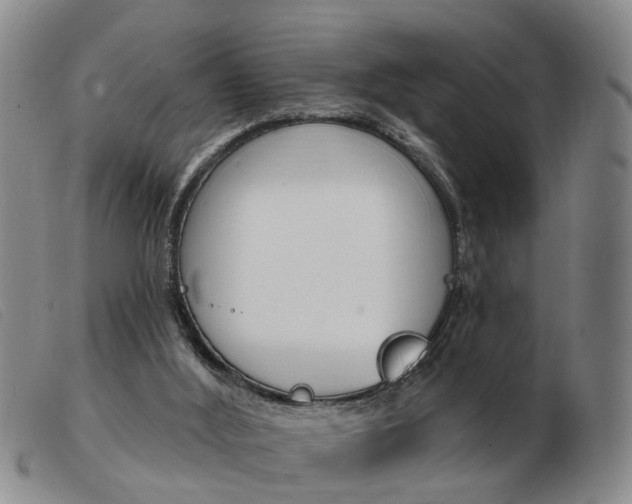 X0000103930012200809191135