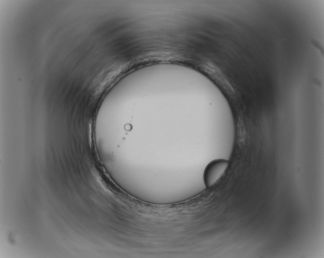 X0000103930014200809191135
