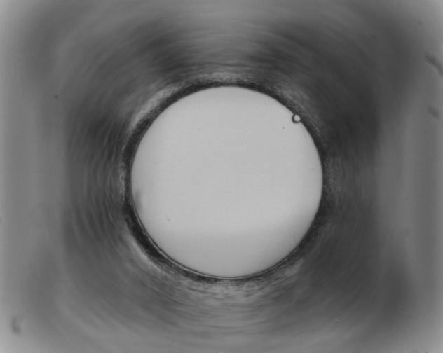 X0000103930016200809191134
