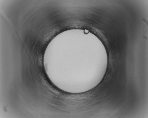 X0000103930017200809191134