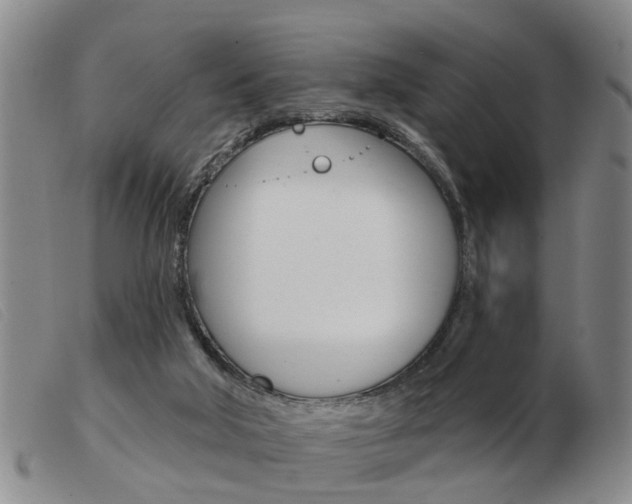 X0000103930018200809191134