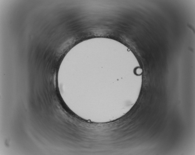 X0000103930019200809191134