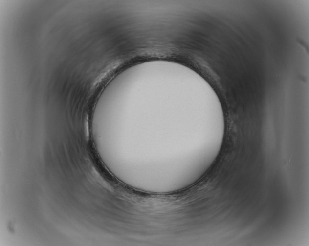 X0000103930020200809191134