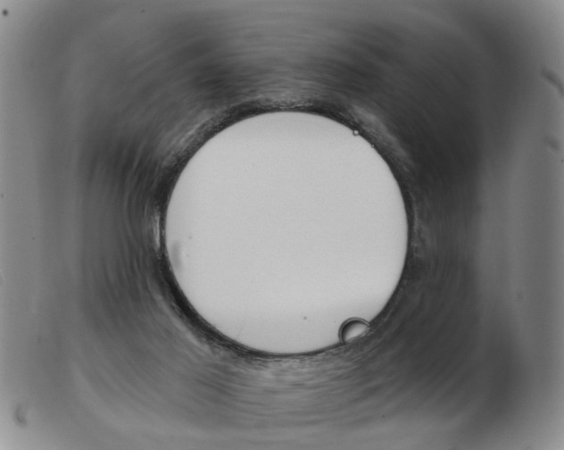 X0000103930021200809191134