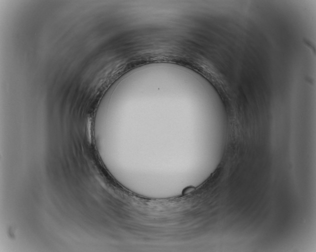 X0000103930022200809191134