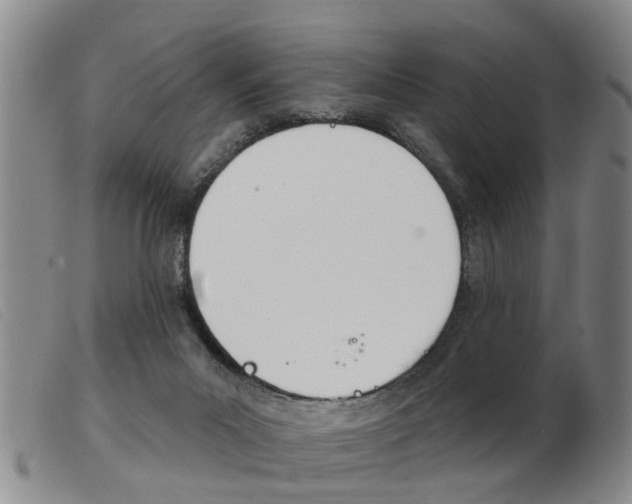 X0000103930023200809191134