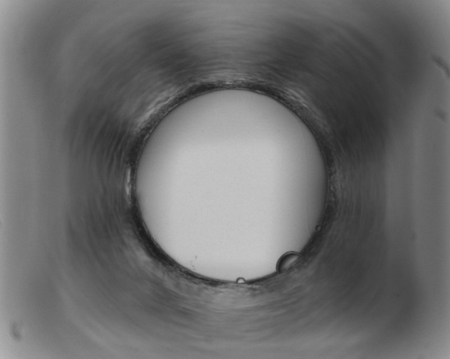 X0000103930024200809191134