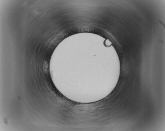 X0000103930025200809191134