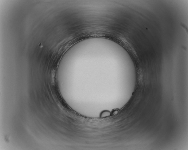 X0000103930026200809191134