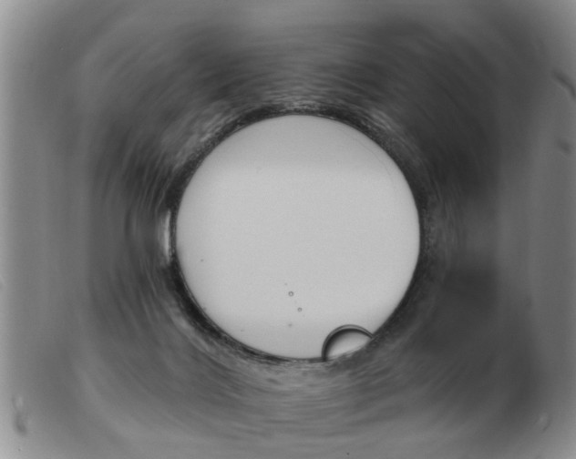 X0000103930028200809191134