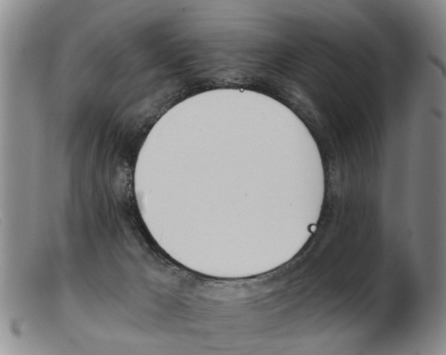 X0000103930029200809191134