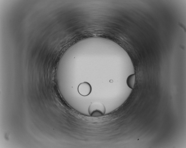 X0000103930030200809191134