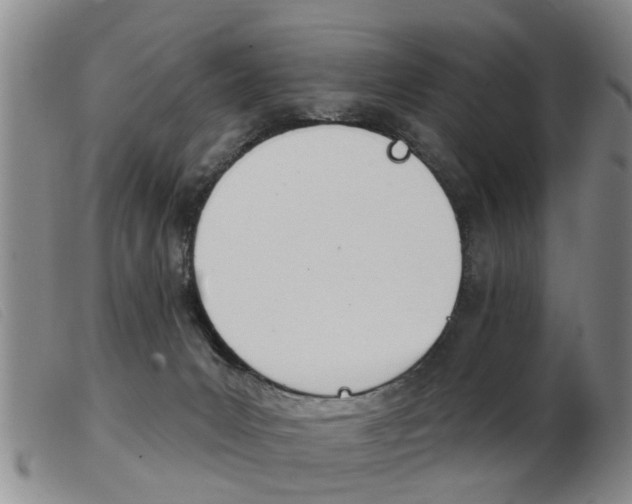 X0000103930031200809191134