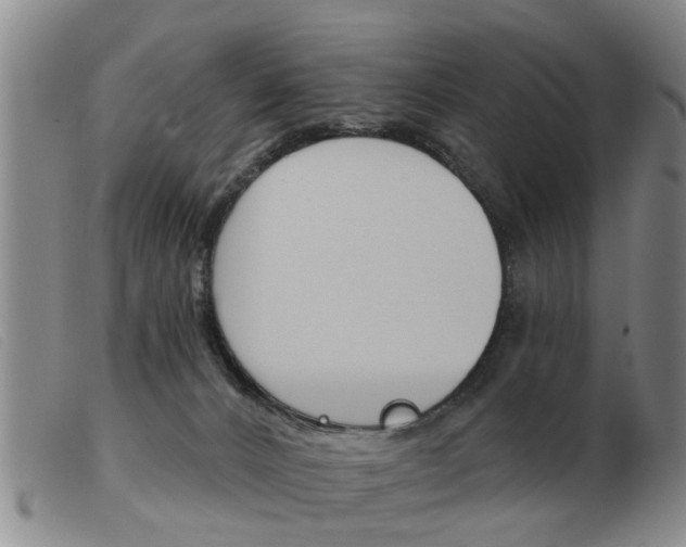 X0000103930032200809191134
