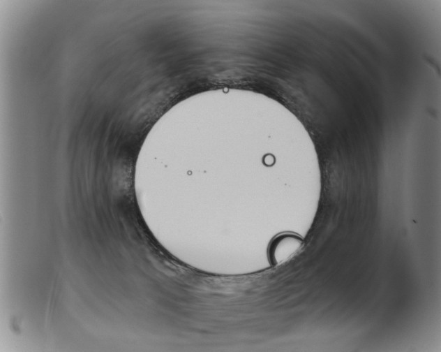 X0000103930033200809191134