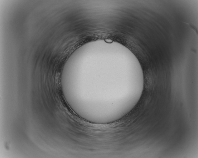 X0000103930034200809191134