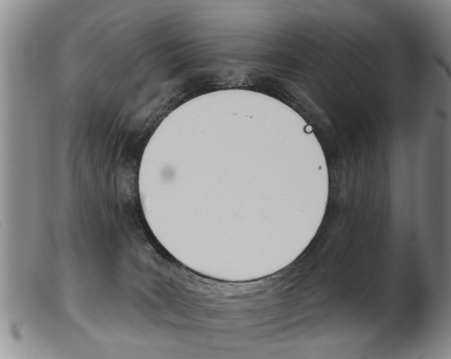 X0000103930035200809191134