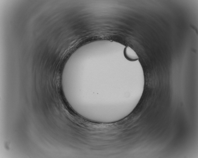 X0000103930036200809191134