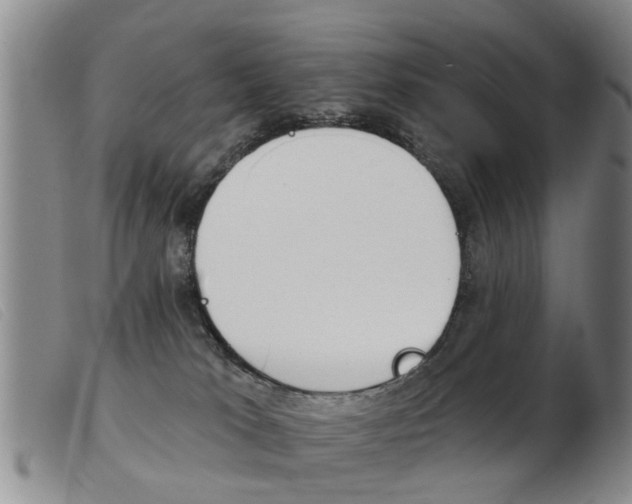 X0000103930037200809191134
