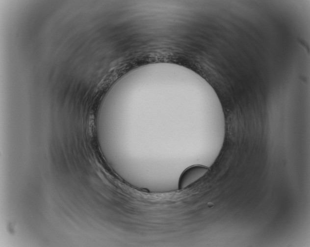X0000103930038200809191134