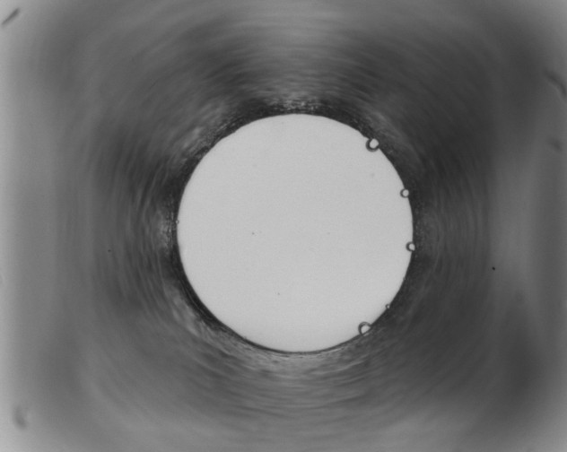 X0000103930039200809191134