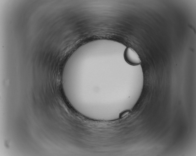 X0000103930040200809191134