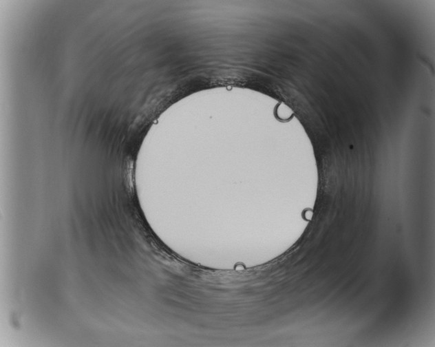 X0000103930041200809191134