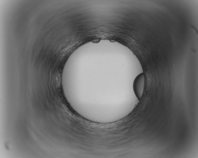 X0000103930043200809191134
