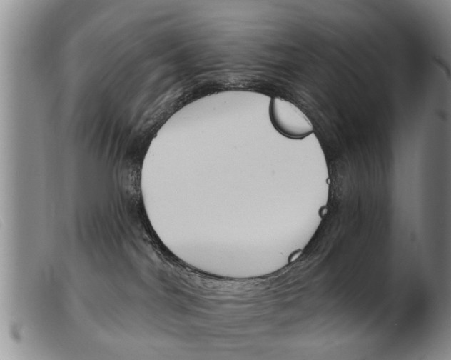 X0000103930044200809191134
