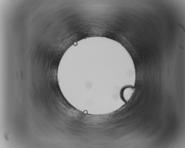 X0000103930045200809191134