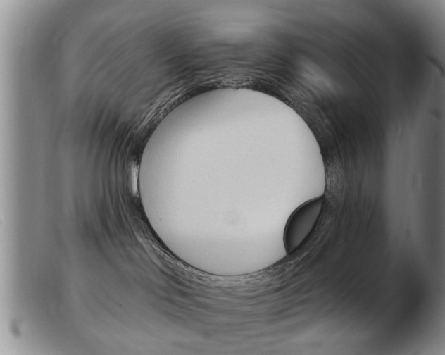 X0000103930046200809191134