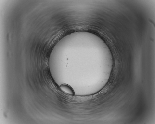 X0000103930048200809191134