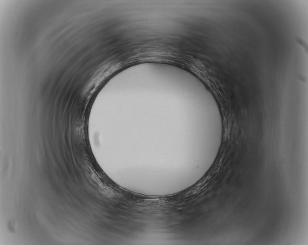 X0000103930050200809191133